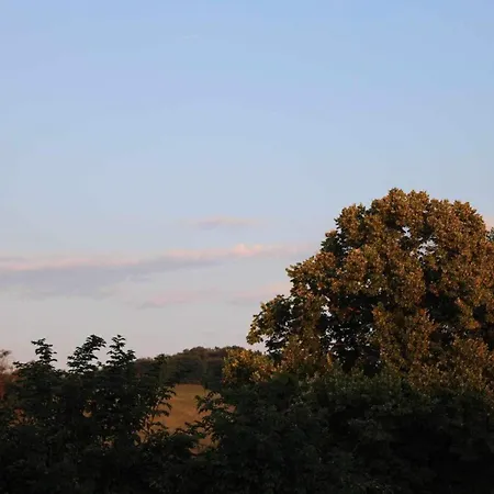 Hetedhet Csillag Apartmanhaz * Babonymegyer